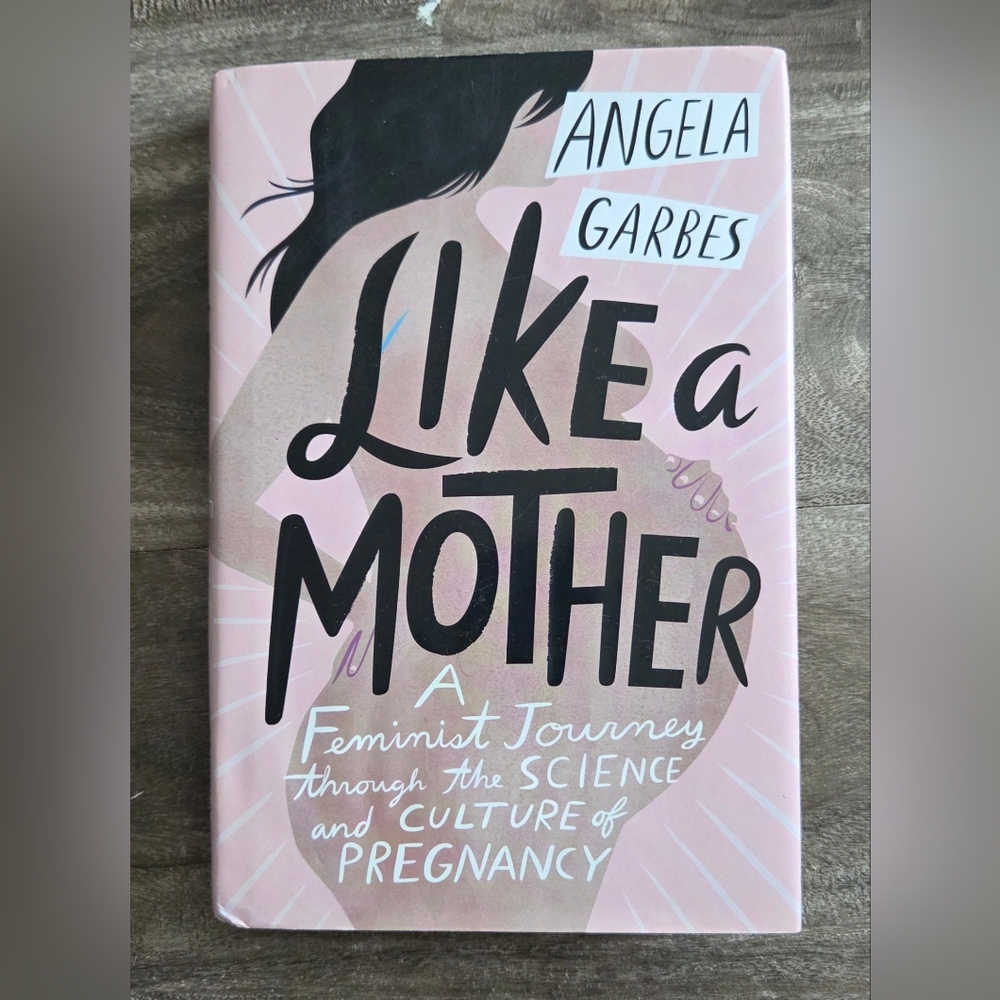 Like a Mother Book by Angela Garbes